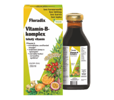 Floradix Vitamin-B-komplex